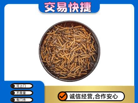 新乡牧野区回收散虫草
